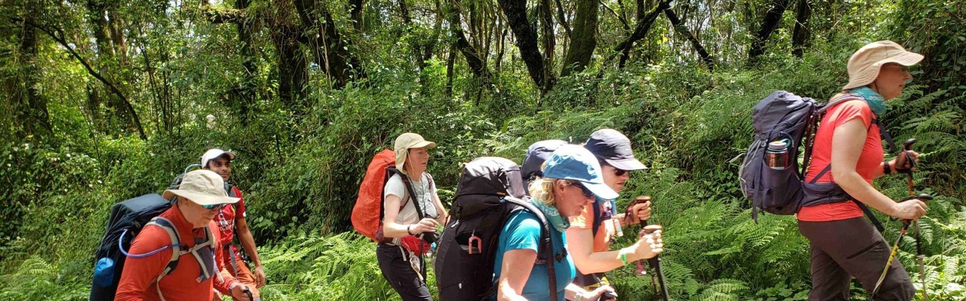 African Zoom Adventures